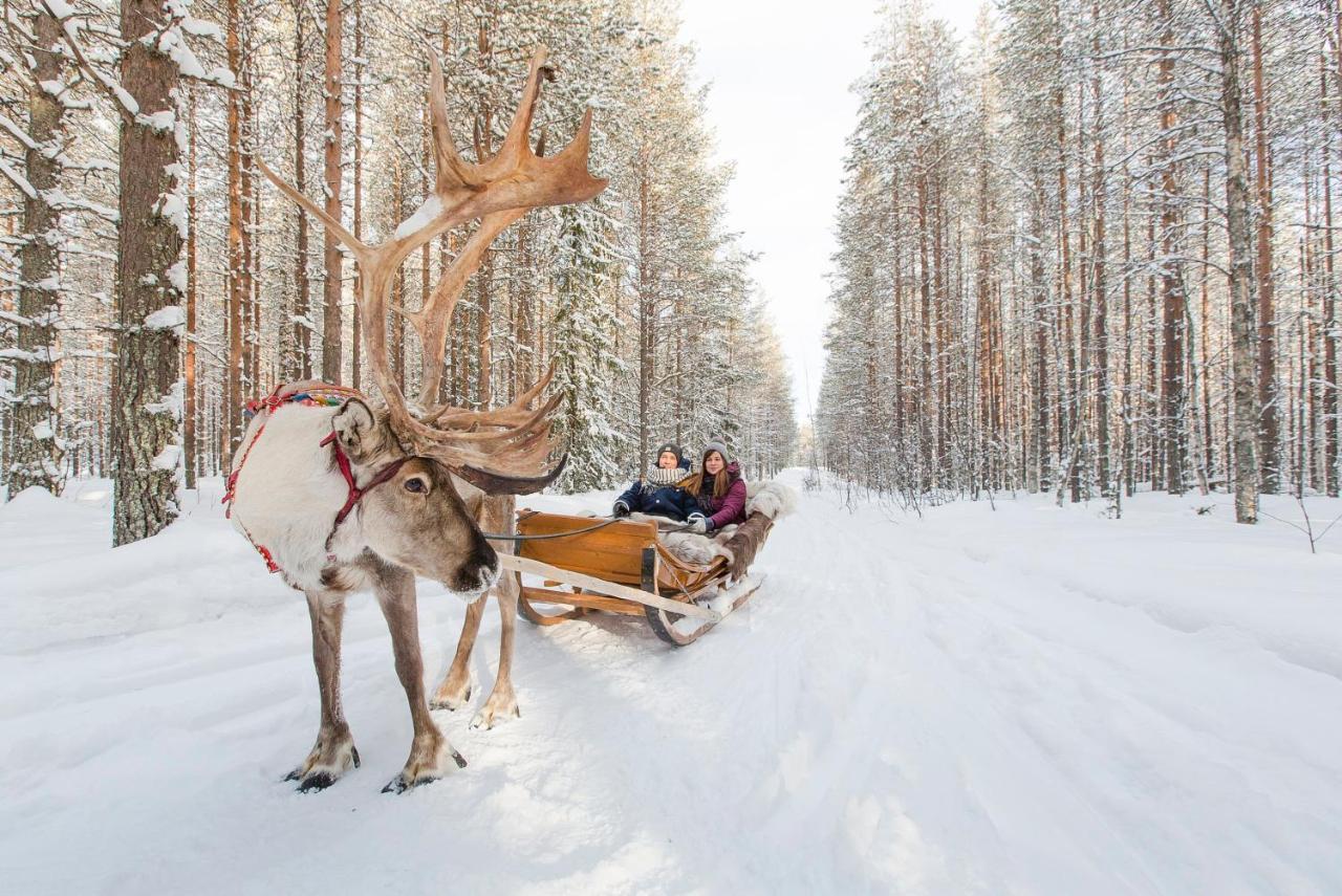 Hotel Aurora Nest - Eco Glass Igloo Rovaniemi Zewnętrze zdjęcie