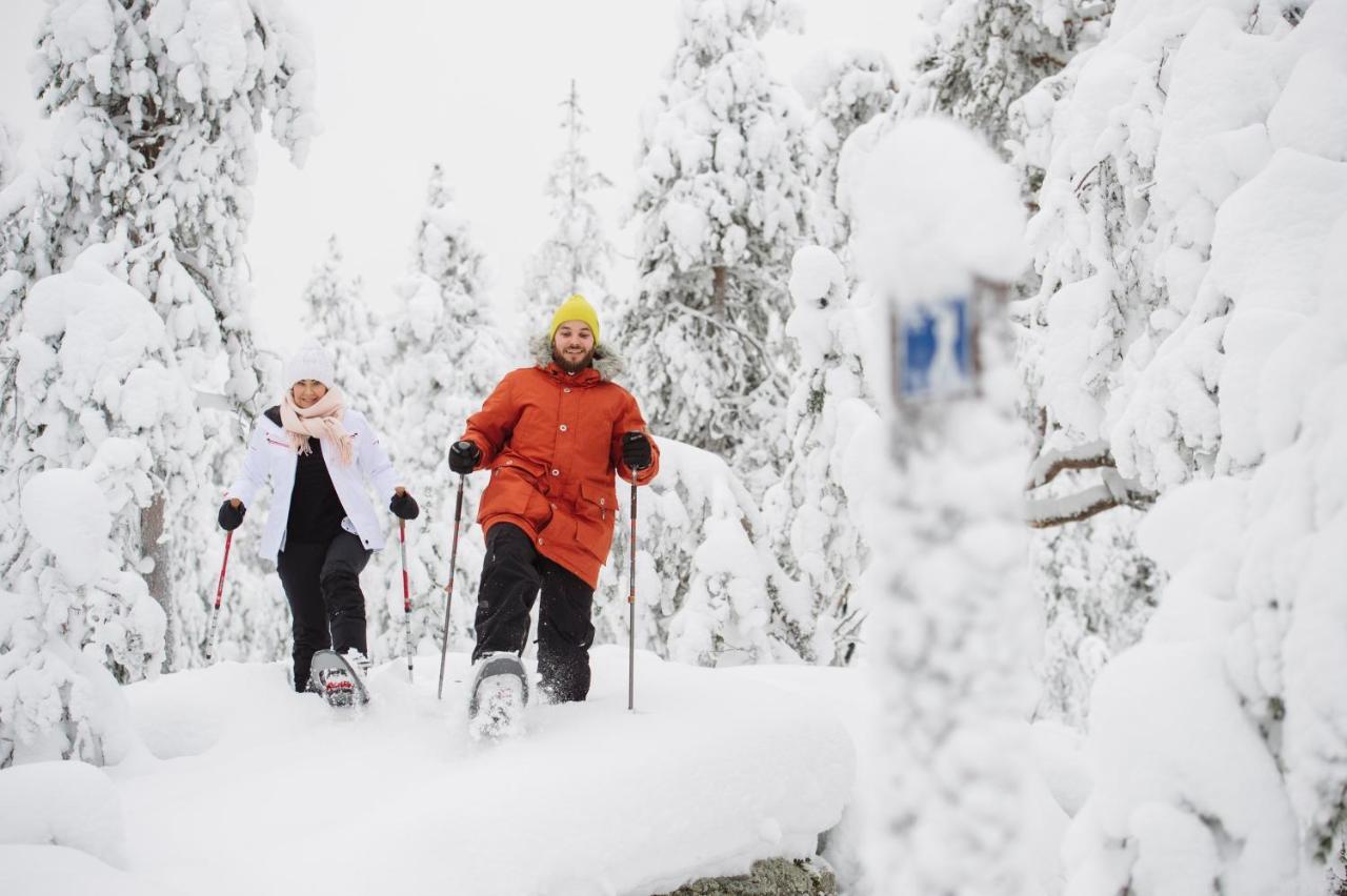Hotel Aurora Nest - Eco Glass Igloo Rovaniemi Zewnętrze zdjęcie